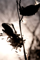 100810-022