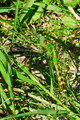 070809-023