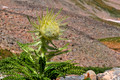 080909-098