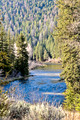 Colorado, Bard, Chicago Fishing