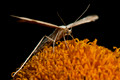 080810-036