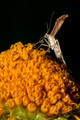 080810-035
