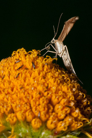 080810-035