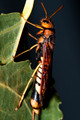 082010-020