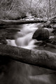 072610-009