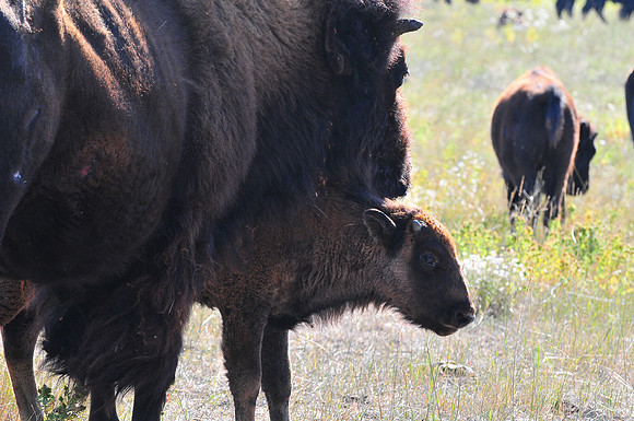 092609-071